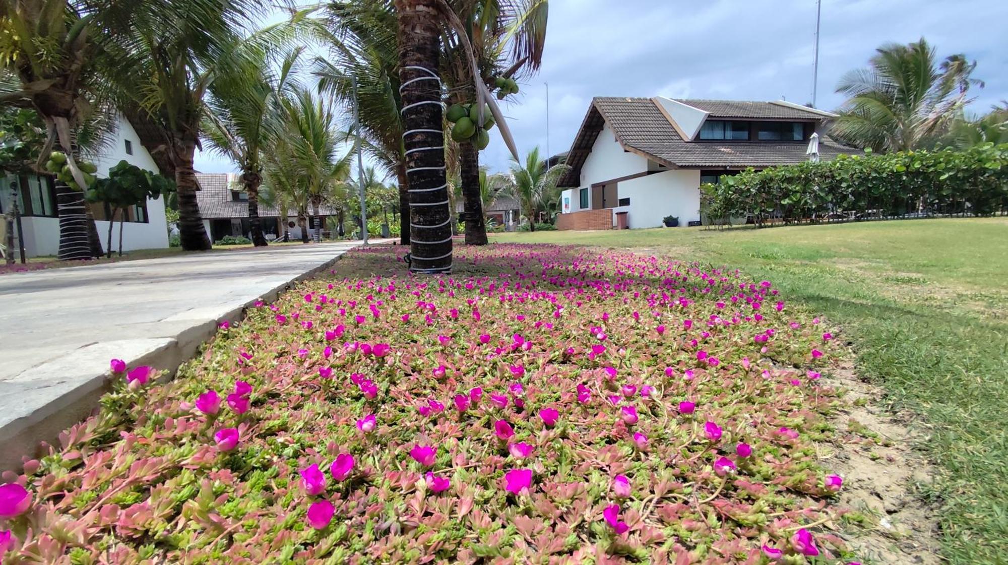 Apartment Cupe Living - Royal 206 Porto de Galinhas